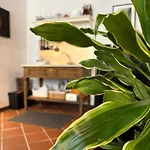 Rollier, Arte E Meditazione