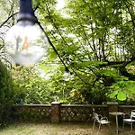 Rollier, Arte E Meditazione