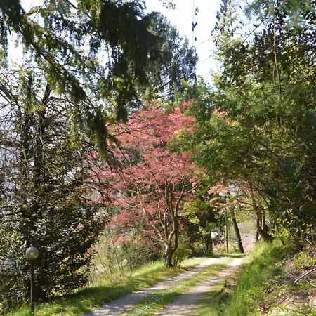 Rollier, Arte E Meditazione