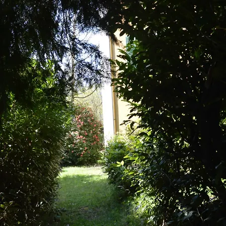 Rollier, Arte E Meditazione