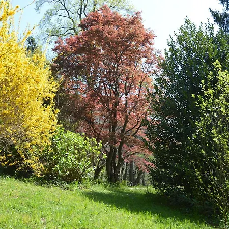 Rollier, Arte E Meditazione