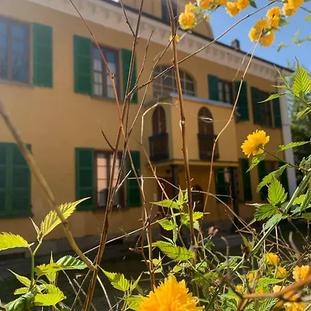 Rollier, Arte E Meditazione * Торре-Пелличе