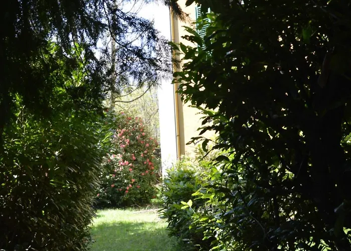 Rollier, Arte E Meditazione