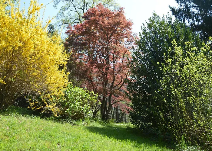 Rollier, Arte E Meditazione